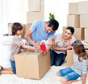 Clifton Wood House Removals Company